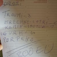 Oprava dreveneho traumu?Takto to nazval odbornik na passate